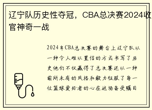 辽宁队历史性夺冠，CBA总决赛2024收官神奇一战